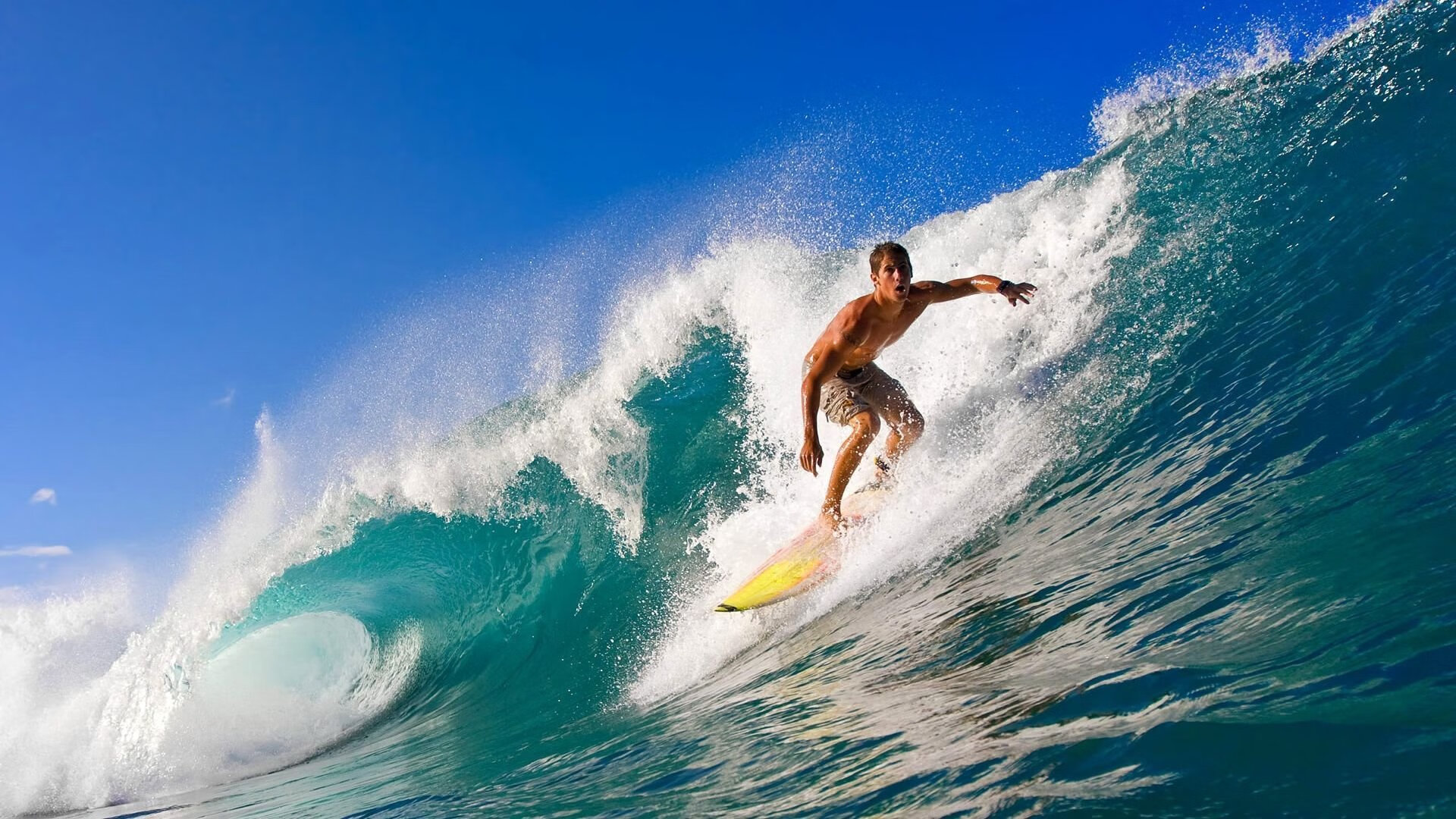 训练营：专业训练营为青年选手提供系统化培养计划，训练营课程