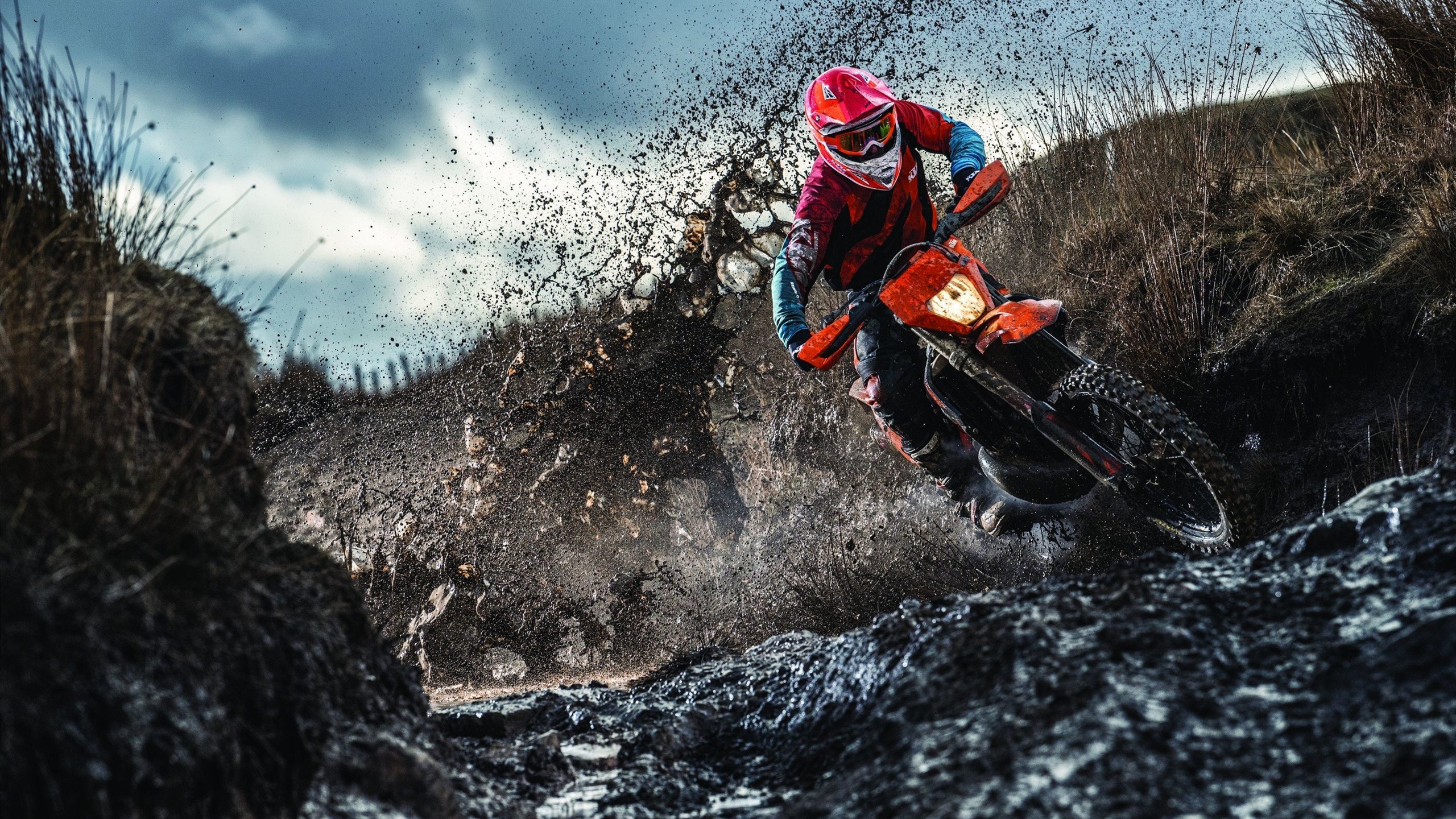 训练营：专业训练营为青年选手提供系统化培养计划，训练营课程